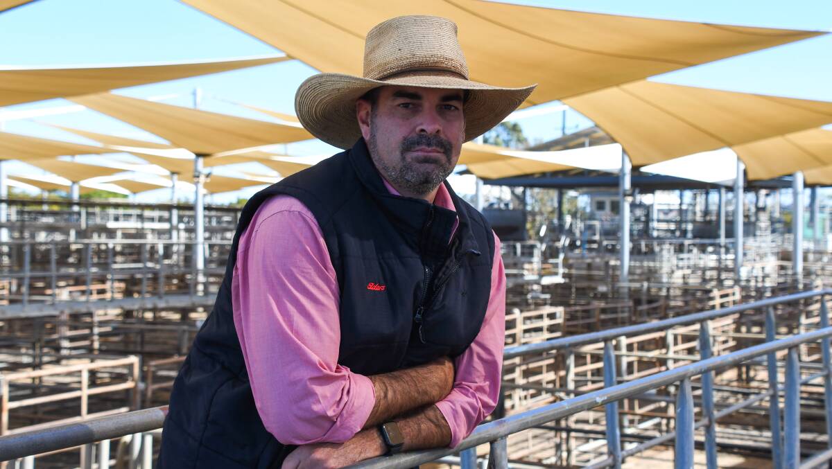 Dubbo Stock and Station Agents Association president Martin Simmons urged the Dubbo council to seriously consider the saleyard's potential. Picture by Elka Devney