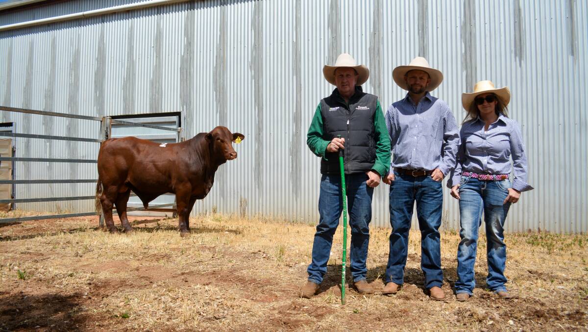 The top-priced bull, Rockingham Sailor, which sold for $18,000, with David Russell, Nutrien Russell Property & Livestock, Cobar, Dean and Jade Hague, Rockingham, Condobolin. Picture by Elka Devney