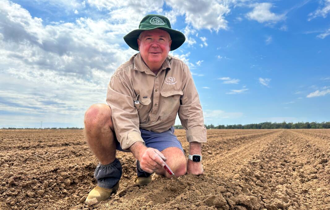 Yield remains king for CSD Macquarie Valley extension and development agronomist, Craig McDonald, who also aims to examine fibre quality and disease resistance. Picture by Elka Devney