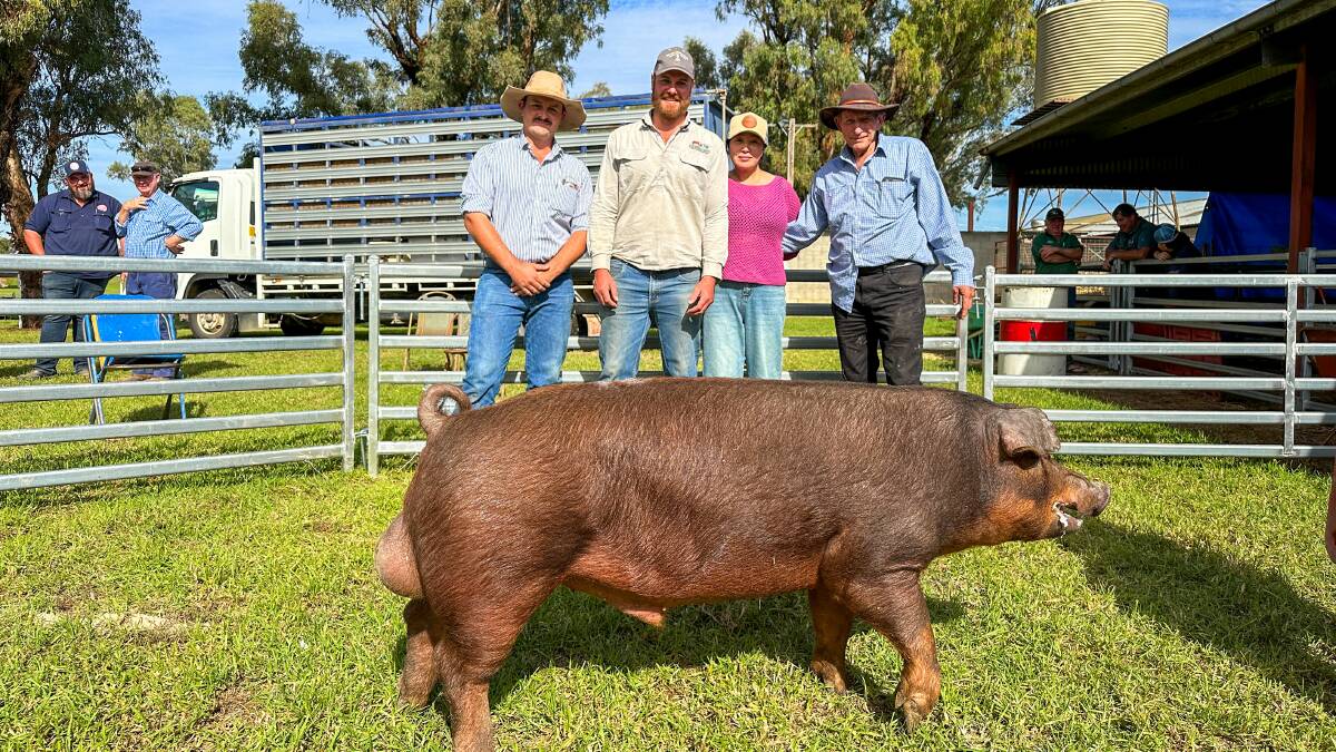 VC Reid Smith Livestock agent Sam Smith, vendor Eli Bailey, Dewsbury Pork and Pig stud, Qualigo, buyers Bryan Job and Yambo Zhang, Baroona, Peak Hill, with the top-priced Duroc boar. Picture by Elka Devney