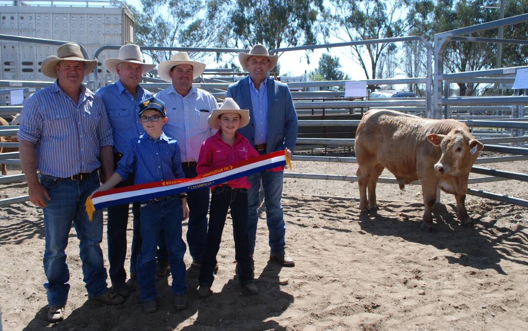 Wayne Cook, Paul Fuhrmann and Blair Flynn, Melaleuca Pastoral/FCF Partnership, all of Casino, judge Matt Spry, Spry's Shorthorns and Angus, Holbrook, with (front) James Fuhrmann, 9, and Izzy Flynn, 9, with the champion individual steer.