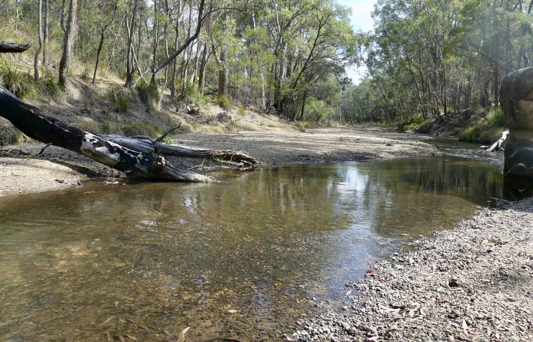 A delicate Goulburn River. Picture by Rebecca Nadge 