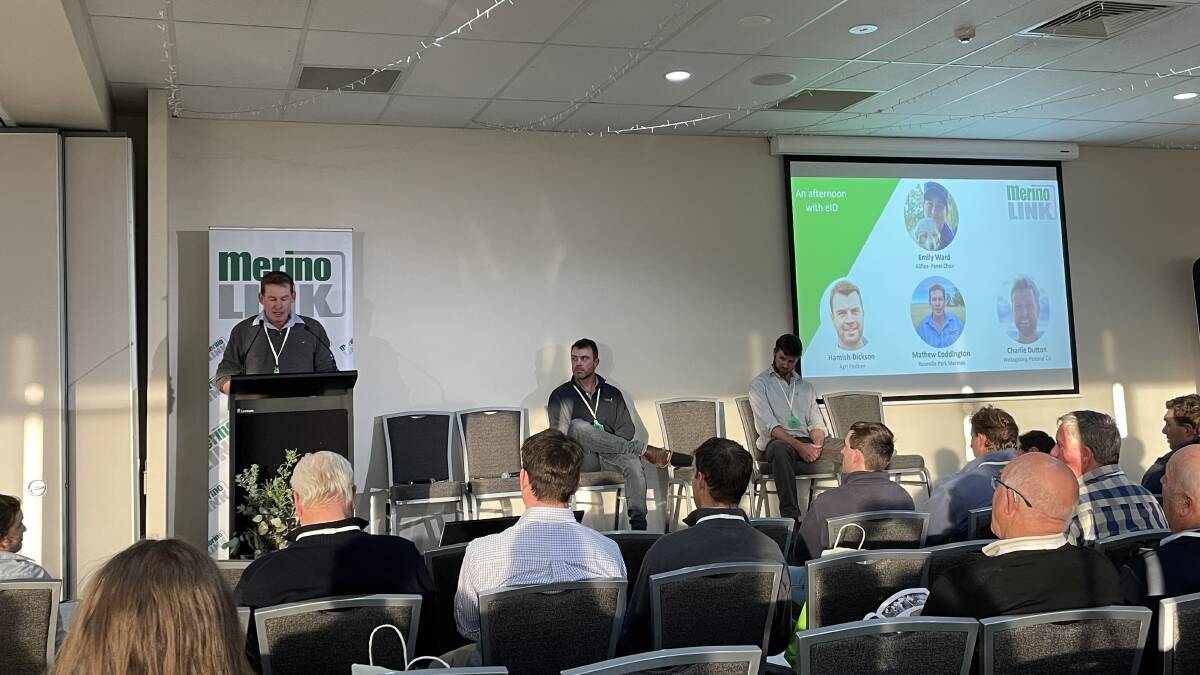 Mathew Coddington, Roseville Park Merino Stud, Dubbo, Hamish Dickson, AgriPartner Consulting, Orange, and Charlie Dutton, Wellagalong Pastoral Co, Bathurst, in the panel discussion at the MerinoLink conference.