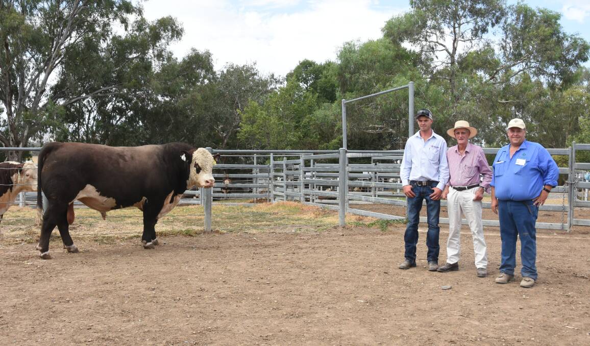 Second top-priced bull Wirruna Smokin Joe S010, purchased by Newcomen Herefords, for $36,000, with Tom King and Barry Newcomen, Newcomen Herefords, Ensay, Vic, and Wirruna stud principal Ian Locke. Picture by Helen De Costa