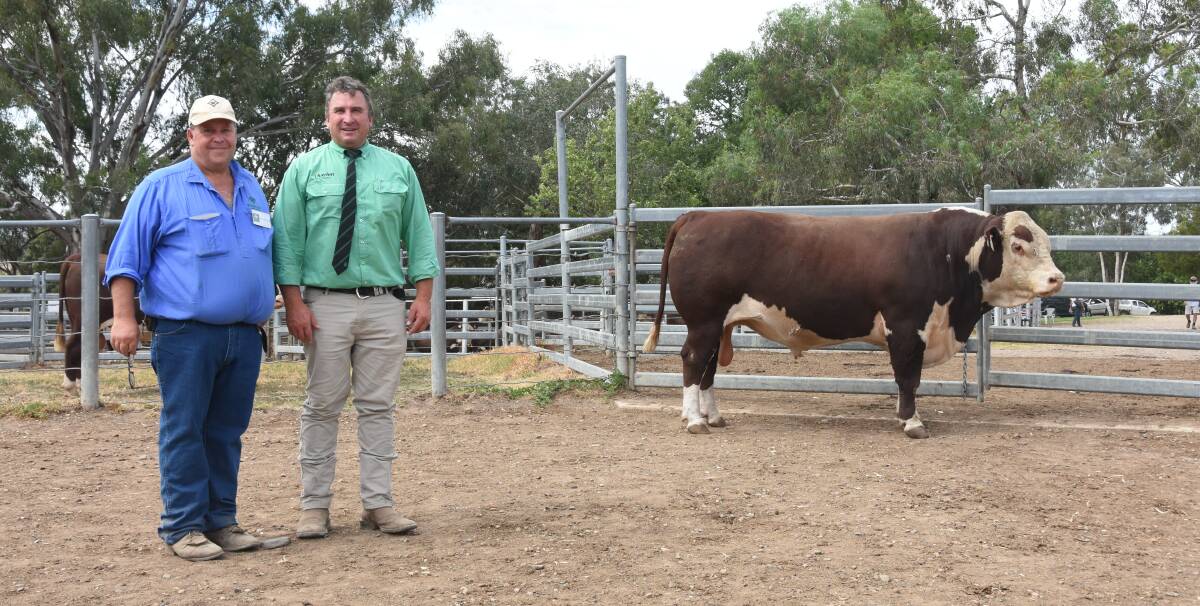Wirruna stud principal Ian Locke, Holbrook, and Tim Woodham, Nutrien Ag Solutions stud stock, with the top-priced bull Wirruna Shea, purchased by Bendoc Poll Herefords, Delegate, for $42,000. Picture by Helen De Costa