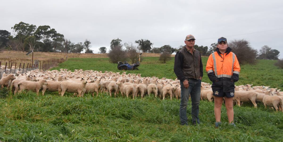 Jason and Robbie Hindmarsh with a selection of their Primeline ewe lambs, lambs on an oat crop. Photo by Helen De Costa. 