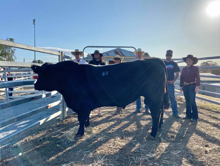 Ian Argue, Kempsey Stock and Land, Andrew and Brooke Paff, Born Ready Speckle Park Cattle, Dyers Crossing, auctioneer Brian Leslie, and Dale and Stacey Jones, Ivery Downs stud, Colinton, Qld, with the $150,000 world record Born Ready Shady. 