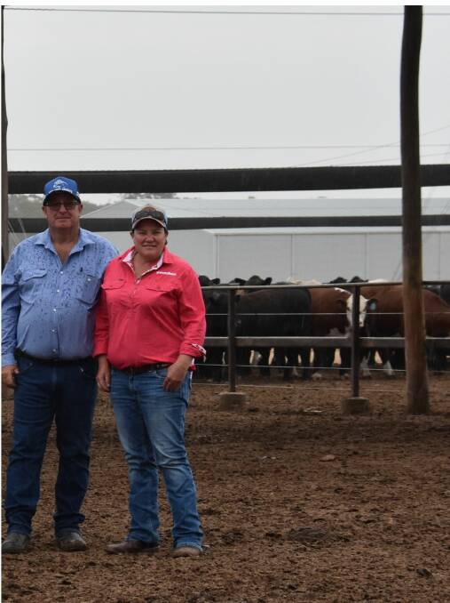 David and Tara Brewer, Brewer Beef, Tallangatta Valley, Vic, have entered four teams, including a line of Angus steers for the first time from their operation. 