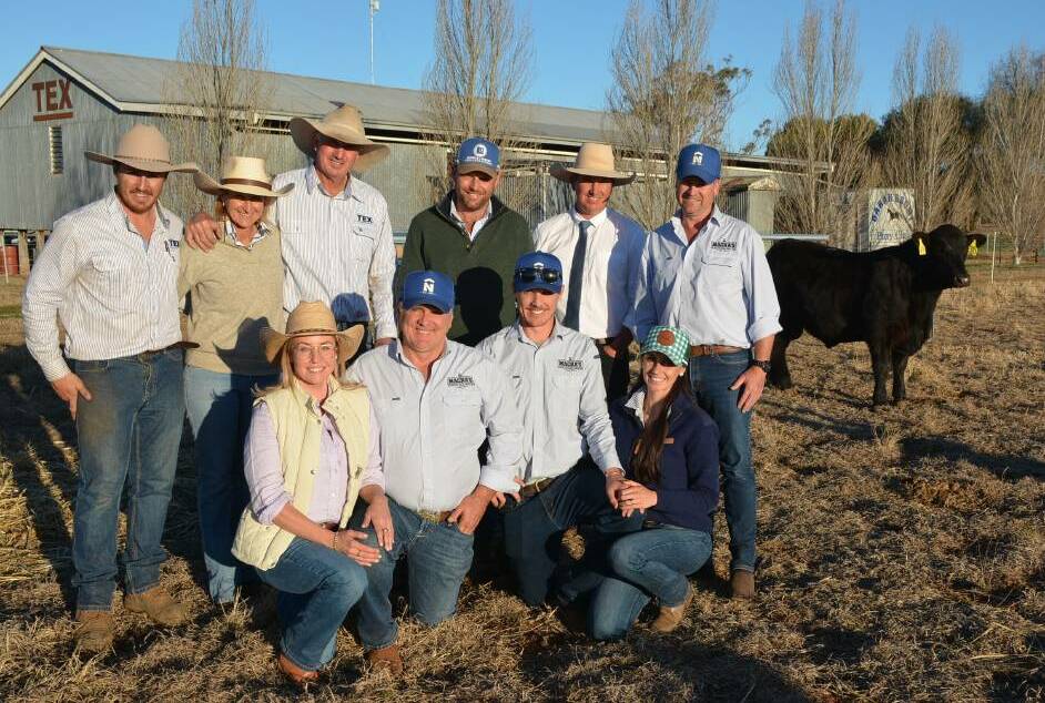 The team at Macka's Beef, Salt Ash, helped break the Australian all breeds bull record after buying the beast from Texas Angus.