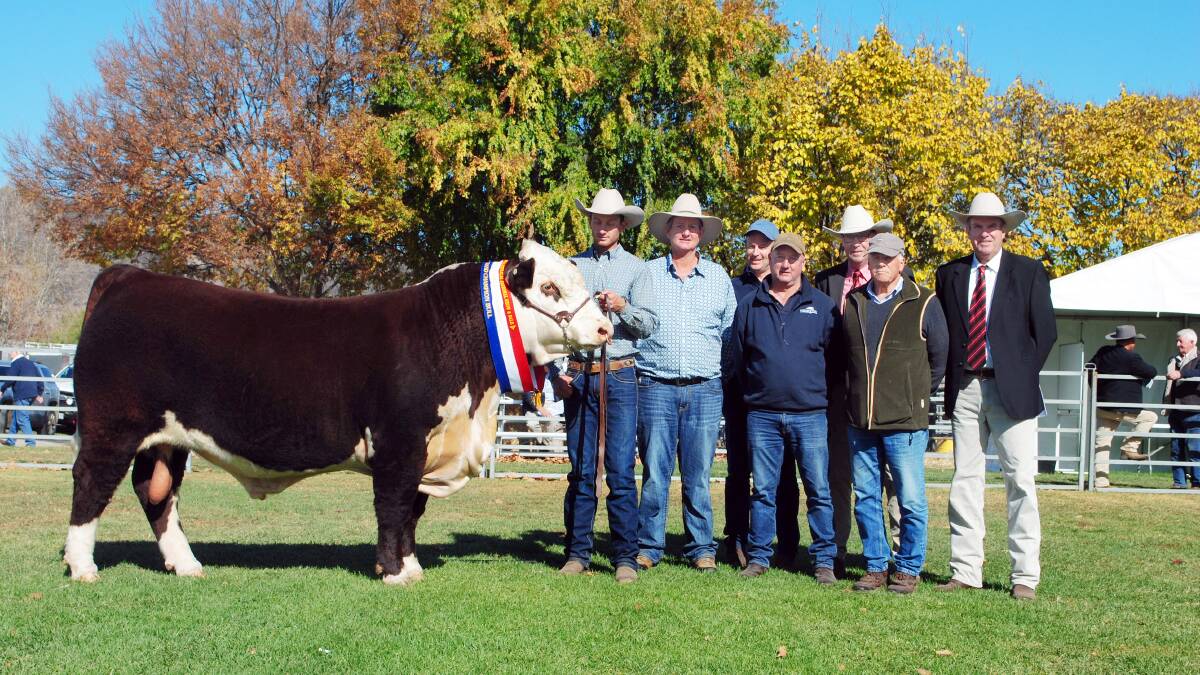 Grand champion and top-priced bull Mawarra Whiteout T290, with Logan and Peter Sykes, Mawarra Genetics, Longford, Craig Brewin, Mick Peterson and Anthony Baillieu, Yarram Park Herefords, Willaura, with Ross Milne and auctioneer Paul Dooley. Photo by Barry Murphy. 