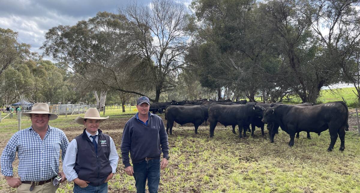 Marc Greening, Injemira Beef Genetics, Book Book, and Alex Croker, H Francis and Co, Wagga Wagga, with volume buyer Matt Lane, Galore, who purchased 12 bulls for $6416 average.