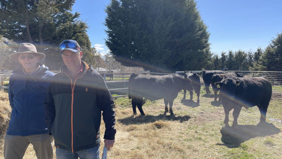 Repeat buyers, John and Phil Western, Tarwin Lower, Victoria, purchased a draft of six bulls to a top price of $10,000. "If you breed a good bull at Kunuma, they will perform anywhere," Phil Western said.