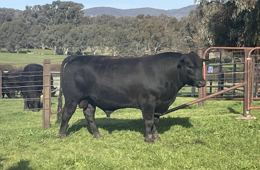 Dunoon S603PV sold for $125,000.
