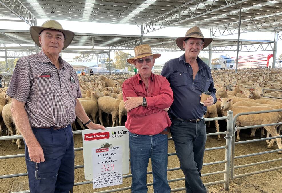 Vendor Barry Harper, Ariah Park, with Greg Harrington, Elders Ltd Bendigo, and John Steel, Bendigo, buyer of 329 first-cross ewes for $208. Picture supplied by Richard Wynne.