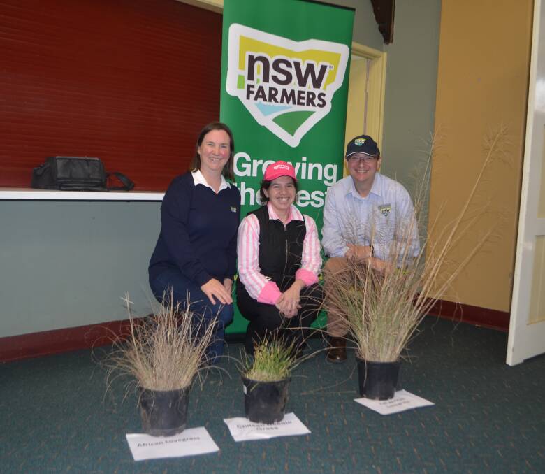 NSW Farmers Regional Services manager - central west Catriona McAuliffe, NSW Farmers - Yass Branch chair Carolina Merriman and NSW Farmers regional services and sales manager Jonathan Tuckfield with examples of African lovegrass, Chilean needle grass and tall African lovegrass - notifiable weeds in Yass Valley. 