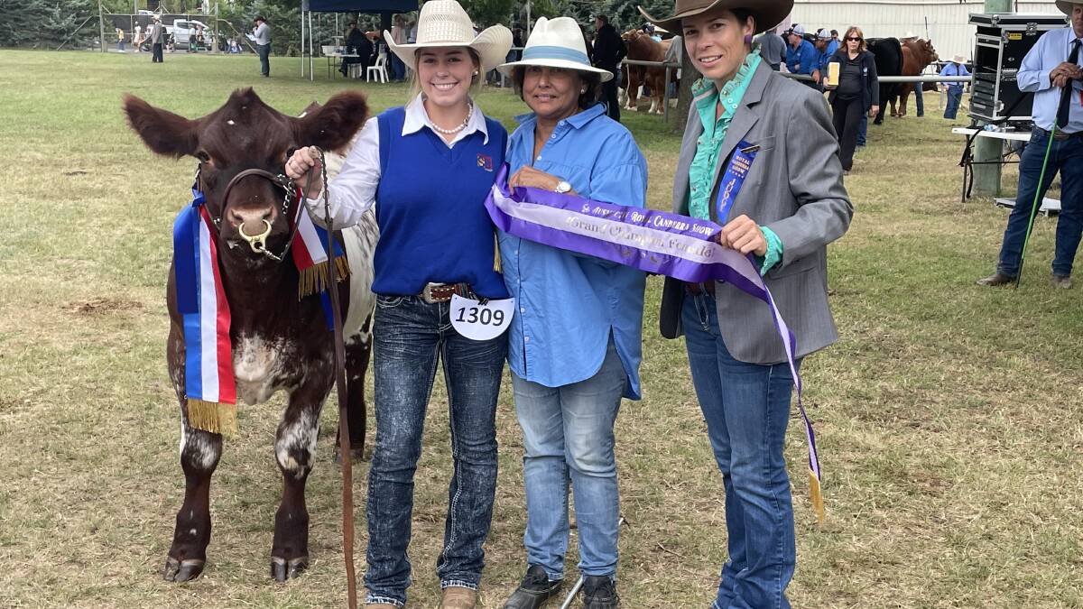 Royal Canberra Show 2022 Shorthorn breed judging results The Land NSW