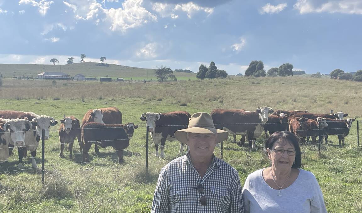 Dennis and Deniece Griggs, Bralara, Braidwood, with their Hereford cows and Limousin cross calves.