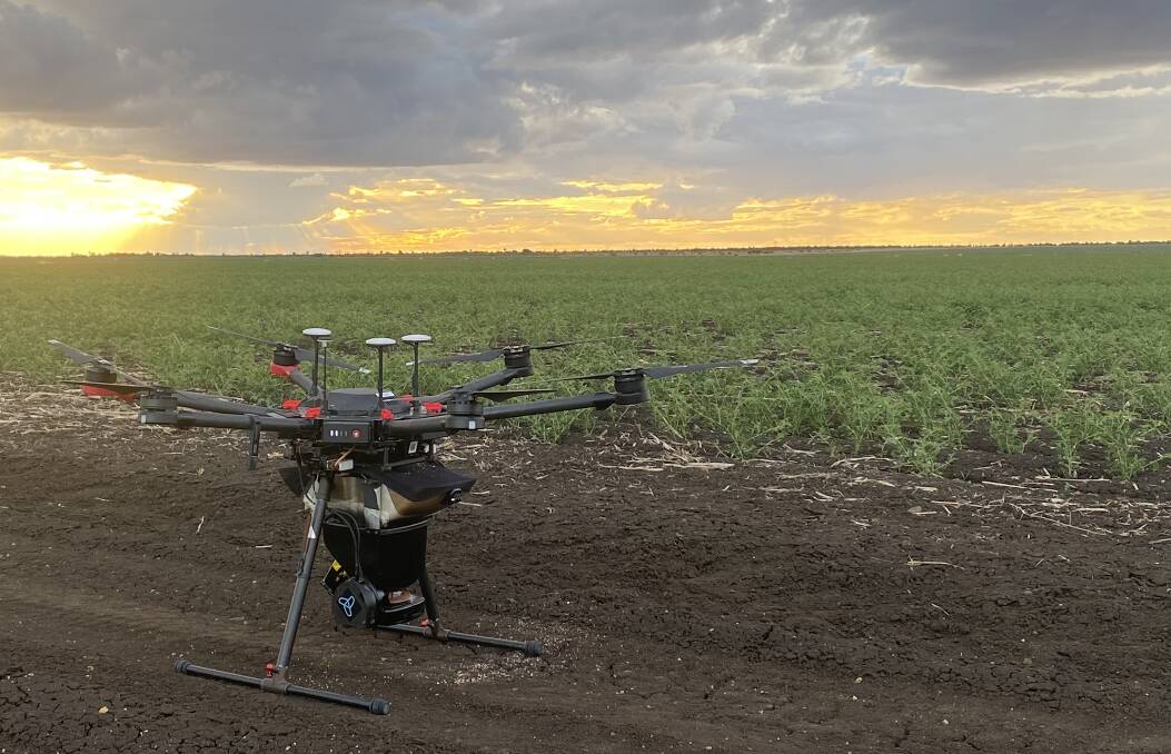 An NQAerovation drone set to take off with a payload of predator Tricogamma pretiosum wasps to be spread in a chickpea crop to eat heliothis caterpillars. Photo NQAerovation.