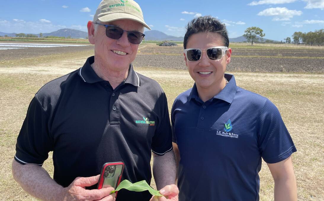 Natural Solutions' Darcy Filmer and Gabriel Jaramillo, from EE Muir and Sons in Virginia, South Australia at a benificial insect training workshop for Muir agronomists.