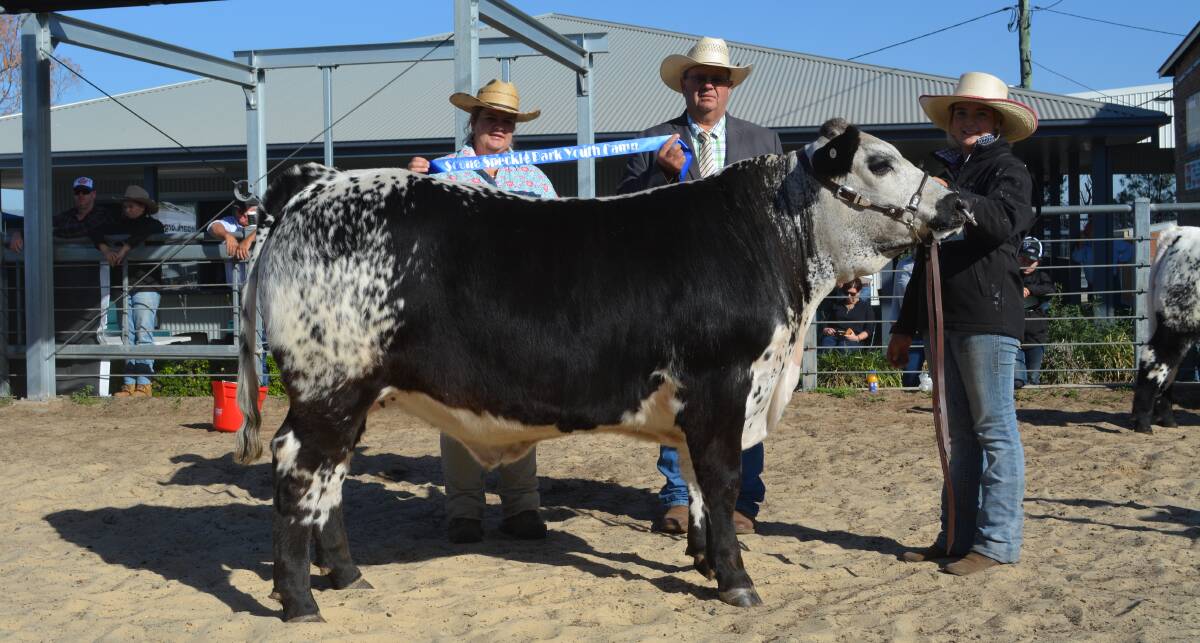 Grand champion steer went to Rockabilly from the St Catherine's Catholic College, Singleton, and led my Emma-Leigh Green, Singleton. Pictured with judges Erica and Tim Bayliss. 