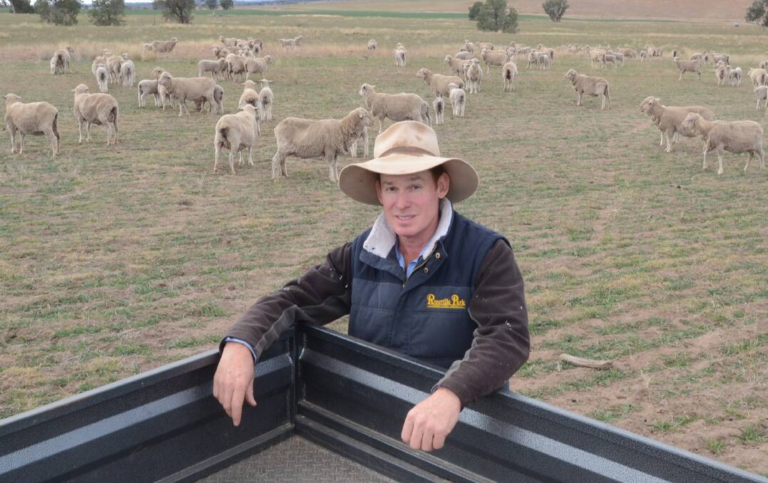 Understanding heat stress in ewes has allowed Matthew Coddington, Roseville Park, Dubbo, to breed more lambs. Photo: Mark Griggs