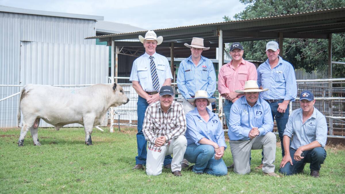 The $24,000 sale-topper with the auctioneer, agents, vendors and syndicate buyers that included both Australian and New Zealand studs. Photos by Ruby Canning from Emily H Photography. 