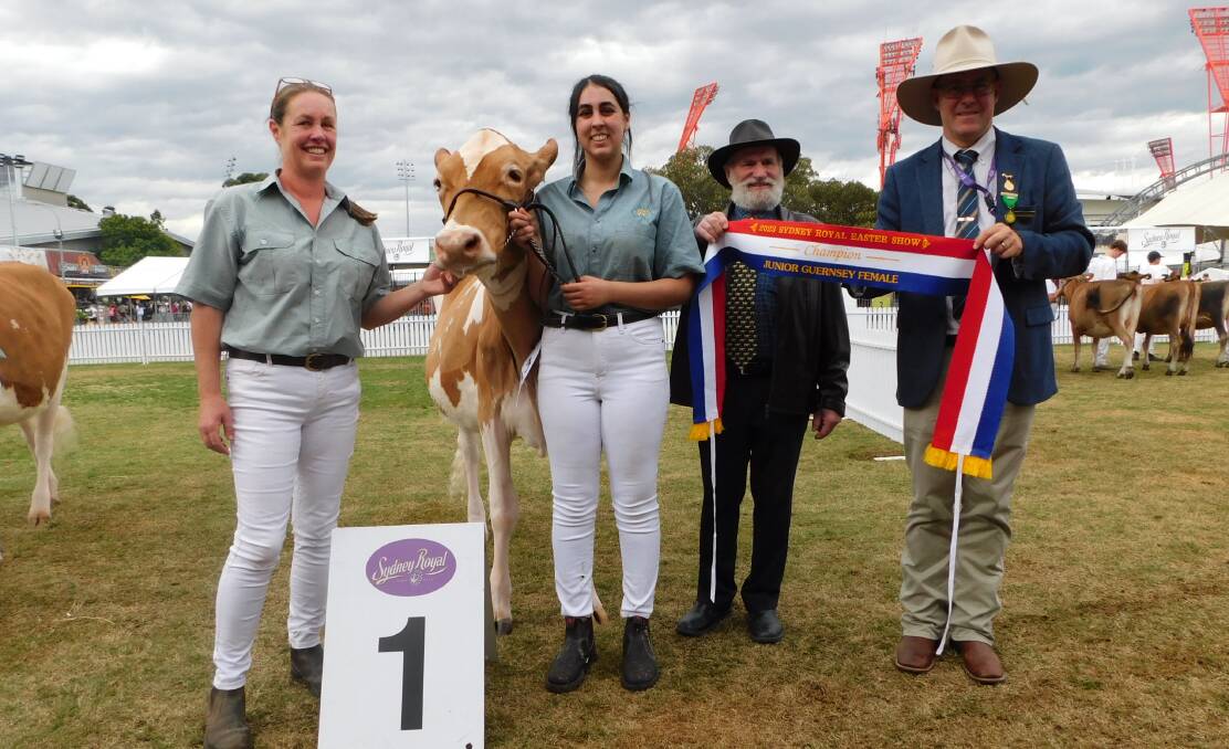 Virginia Mall, Central Coast, Mahalia Mall, Central Coast, judge Ken Forster, Ontario, Canada, and RAS councillor Alastair Rayner, with junior champion Guernsey female Grace Springs Latimer McKenna. Picture by Hayley Warden