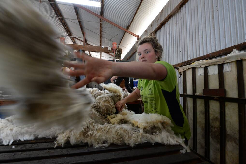 Looking forward to the final week of wool trading for 2019, sees an estimated 43,000 bales to be offered across all three national selling centres.