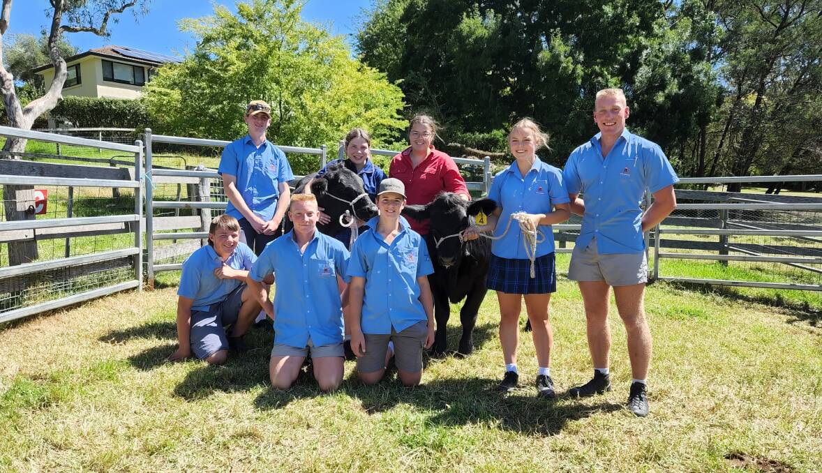 Moss Vale High School teacher Georgie Matheson-Gee with ag students taking part in the 2023 School Steer Spectacular. Picture supplied