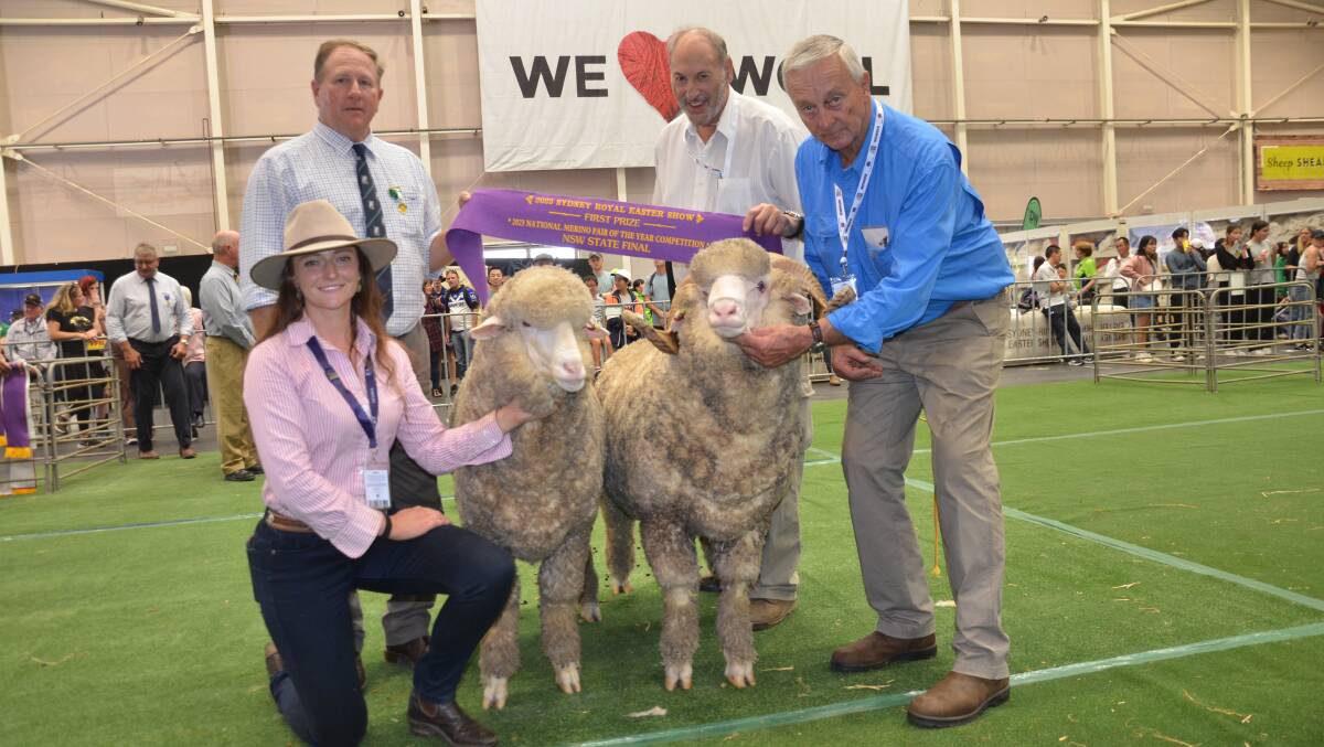 NSW Stud Merino Breeders senior vice president Justin Campbell sashes the winning pair from Hollow Mount stud being held by Avalon McGrath and David Zouch with owner Ken Wolf. Pictures by Catherine Miller