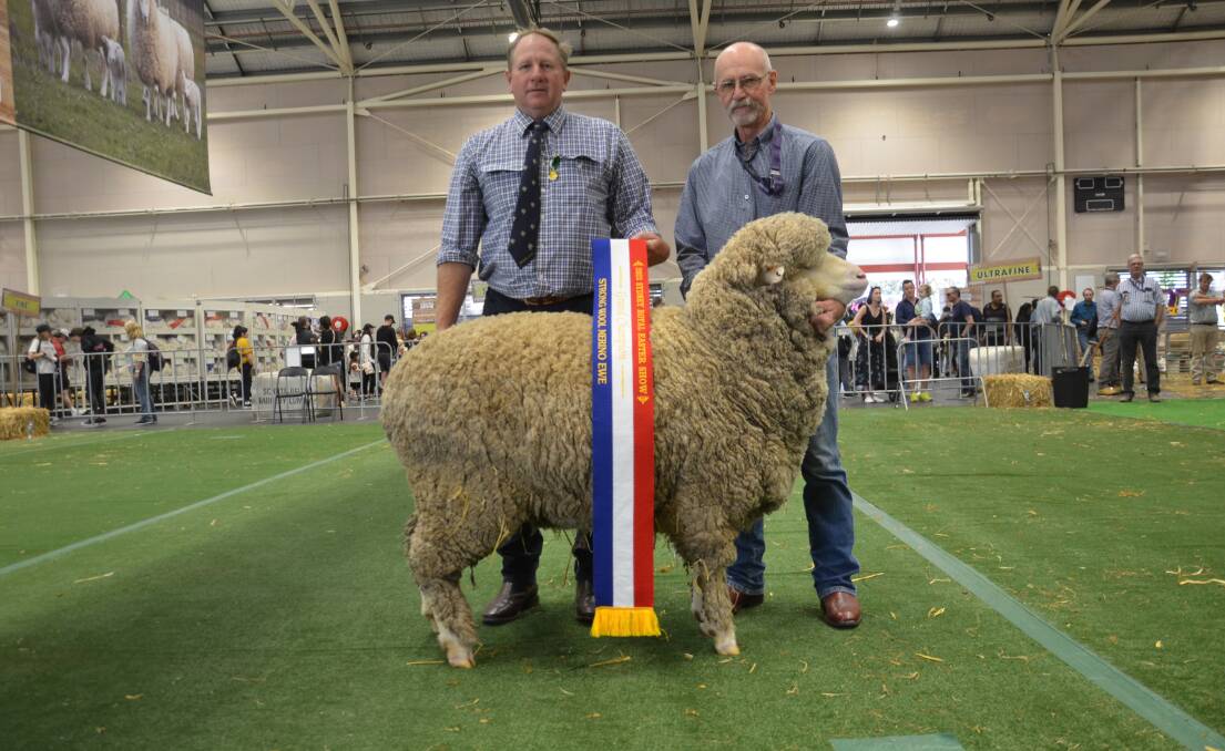NSW stud Merino Breeders Association senior vice president Justin Campbell sashes the grand champion strong wool Merino ewe from Lach River stud being held by Garry Hudson.