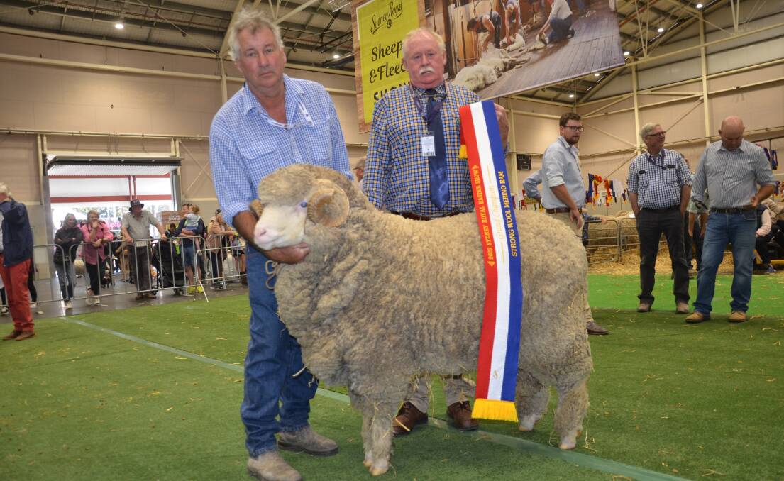 Richard Chalker, Lach River, Darby's Falls, holds his grand champion strong wool Merino ram being sashed by chief steward Rodney Kent, Delungra. Pictures by Catherine Miller