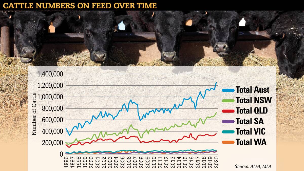 Alltime high for cattle on feed numbers but peak likely reached The