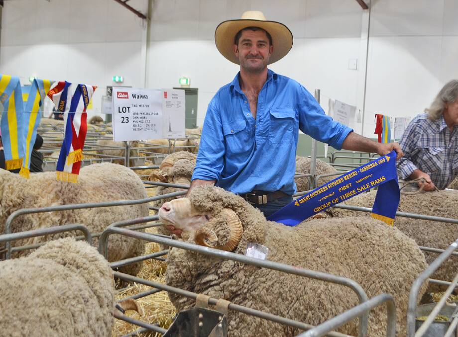 Walwa Merinos, Gurrundah, studmaster Alan McCormack with a winning pen of three sale rams from a Great Southern Supreme Merino show in Canberra several years ago.