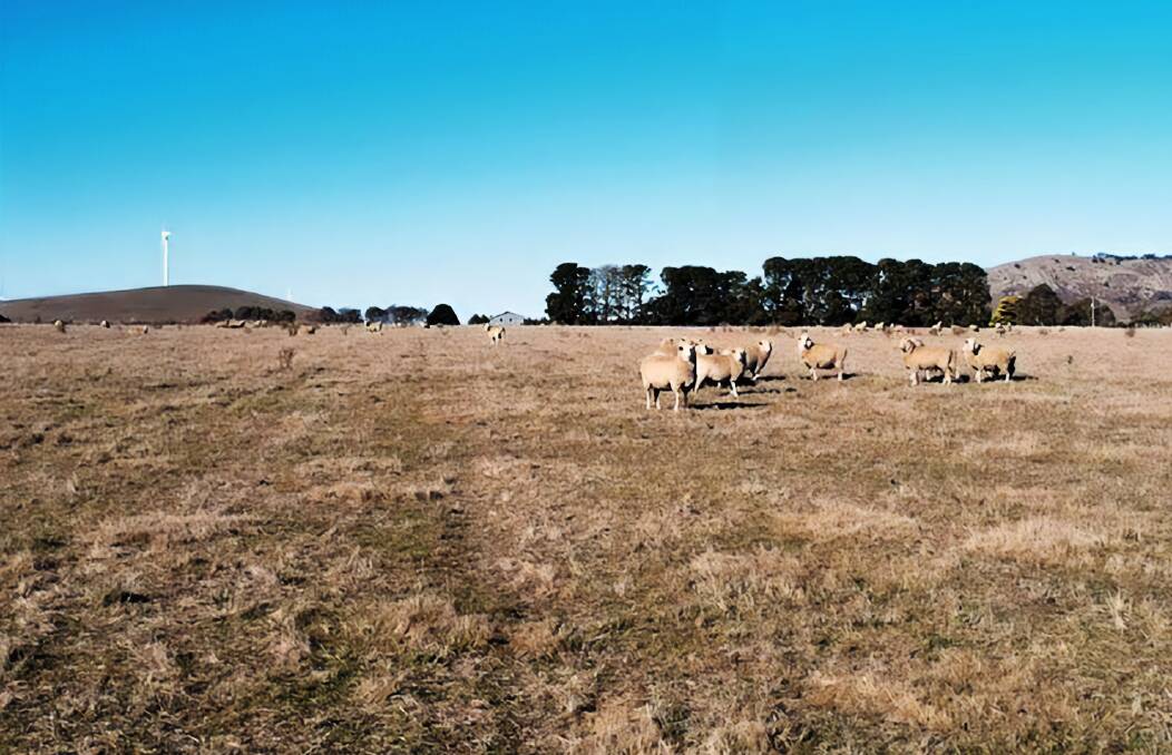 Extra income from wind turbines offered with Ballarat district farm sale