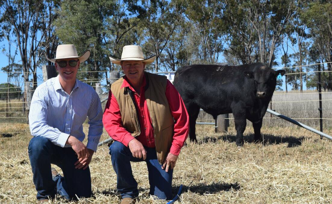 Walter Wilson, Banana Station, and Jon Gaffney with Graneta Pepper, a son of Ascot Highlander K224, bred and sold previously by Graneta Angus. Picture supplied