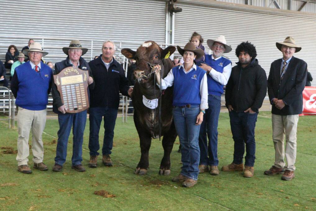 Kim, Howard and Terry Williams, with the trophy for the 2022 grand champion bull led by Krystelle Ridley, K.O Shorthorns, daughter Stella, Keith Ridley, Eselar Park, Mahefangupo, and judge Peter Collins. Picture supplied