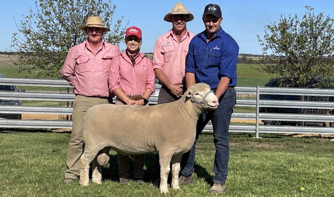 Dermot McGrath, Rachel Pritchard and auctioneer Aaron Seaman, of Elders, and Dane Rowley, Springwaters Poll Dorsets, with the $18,000 ram. 
