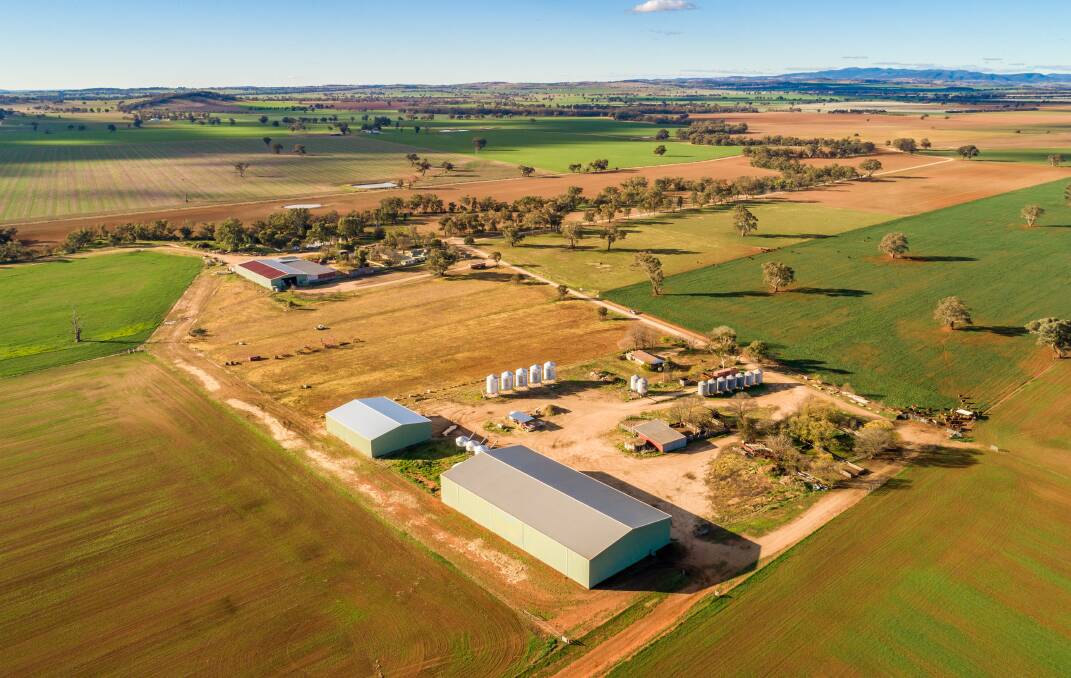 One of the auction highlights in the Central West in 2019 was the sale of the late Tony Street's 313 hectare property, Sussex, at Canowindra, for $3.95m by James P. Keady of Cowra.