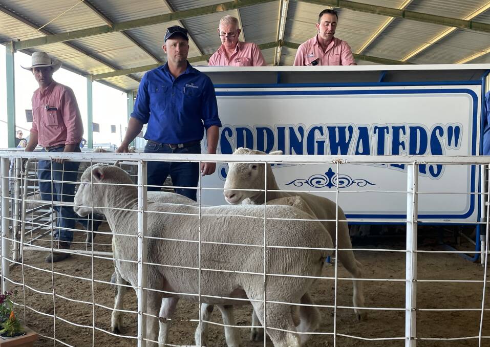 Springwaters principal in the sale ring during the flock ram portion of the sale.