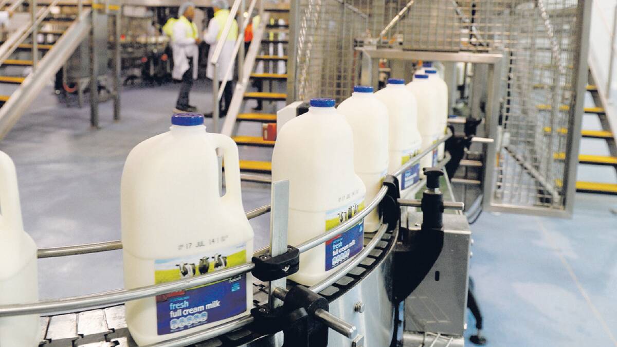Coles has bought two milk factories from Saputo used to process its own brand milk. File picture