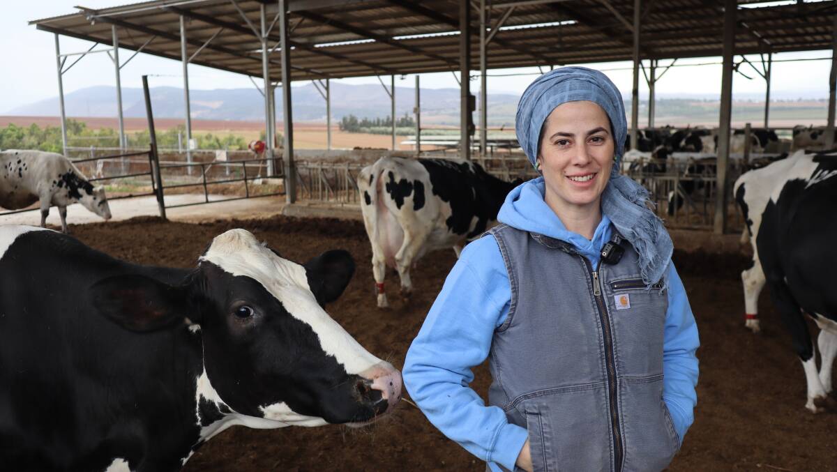 Project leader and veterinarian Dr Sivan Lacker has developed a system to allow delayed cow-calf separation on her Israeli dairy farm. Picture supplied