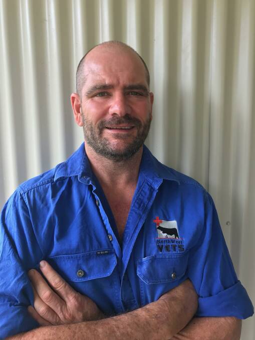 Managing bulls for success | The Land | NSW