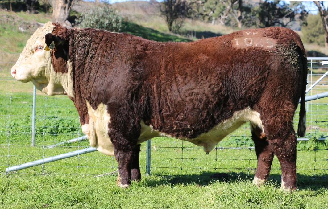 Lot 23a, one of the star lots by Redford. Picture supplied