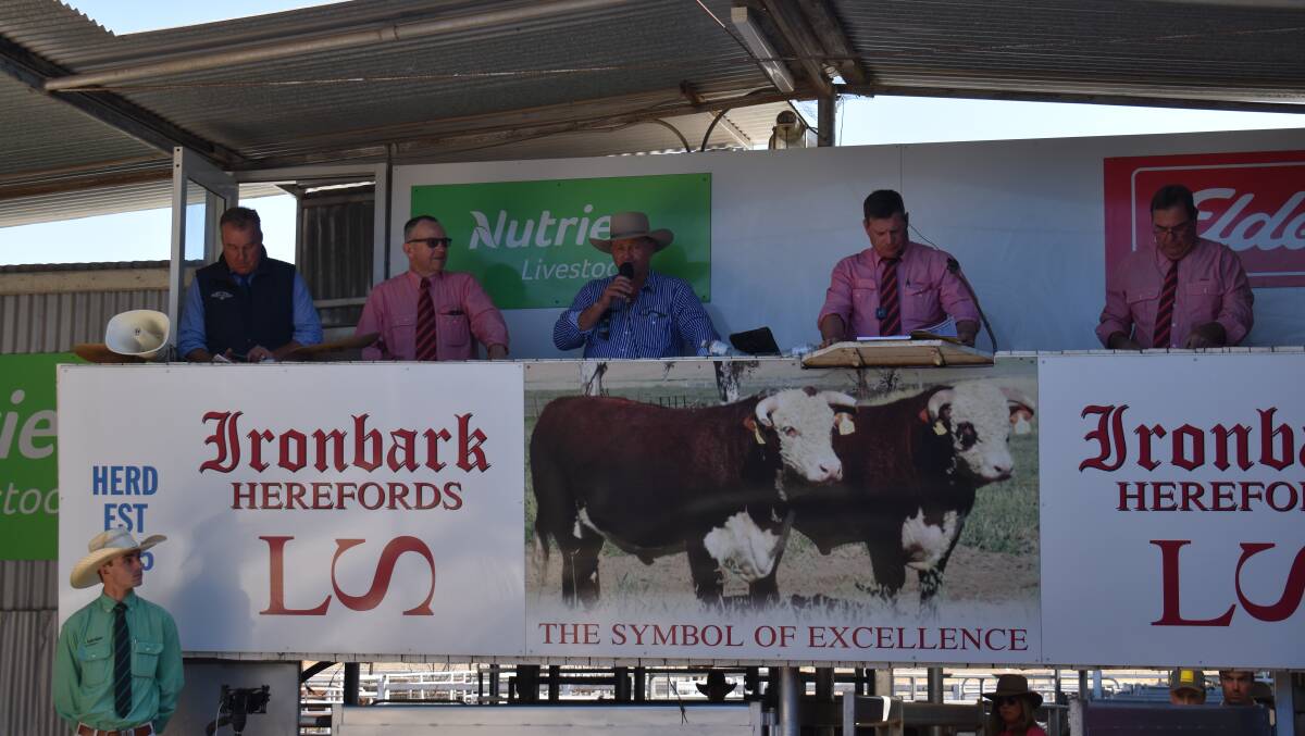 Adrian Spencer at the rostrum with agents at a previous Ironbark Herefords bull sale. Picture supplied