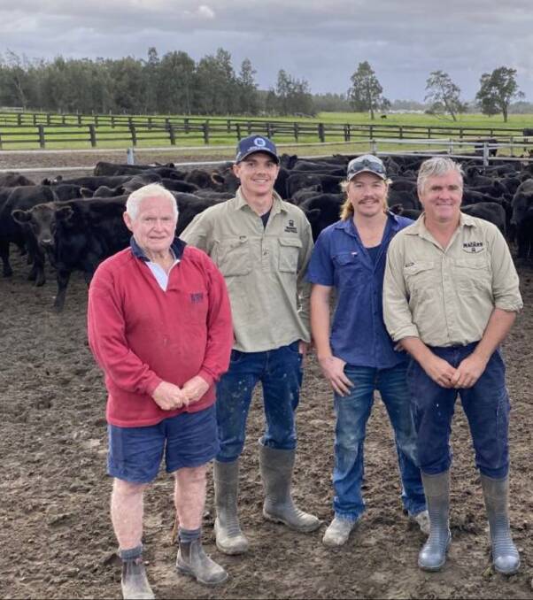 MATERNAL TRAITS KEY: The Mackenzie family - Bruce, James, Jack and Rob - is breeding steers for a beef program, as well as quality heifers for the restocker market. 