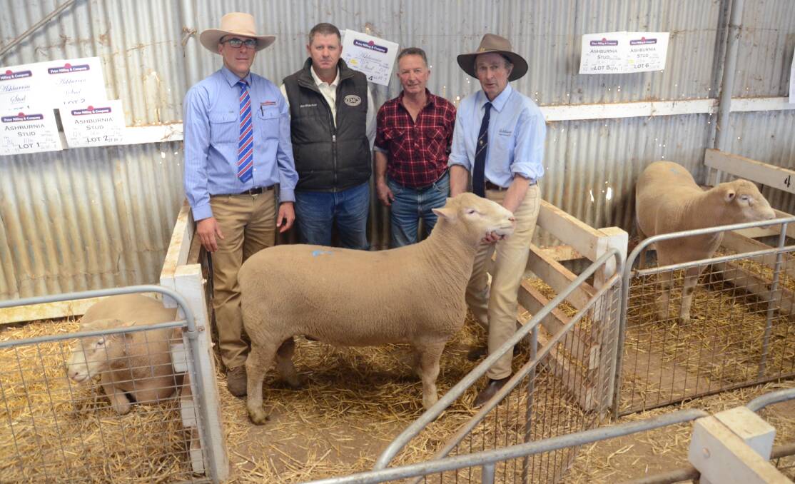 Ashburnia studs $2100 sale-topper with agent, Danny Tink, Peter Milling and Company, Dubbo, buyers agent Robert Newton, Ray White Emms Mooney, Blayney, buyer Rob Matthews, Vale View, Blayney and vendor, Ken Williams, Ashburnia stud, Four Mile Creek.