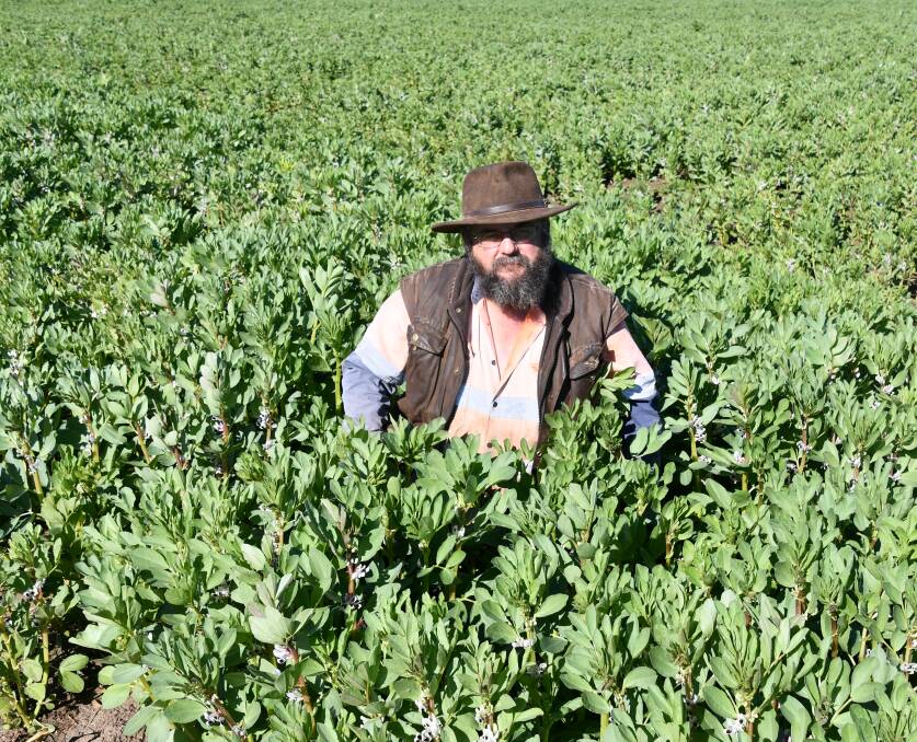 Tichborne grower Neil Kingham is trying faba beans as way to manage weeds and add nitrogen to the soil. Picture by Denis Howard
