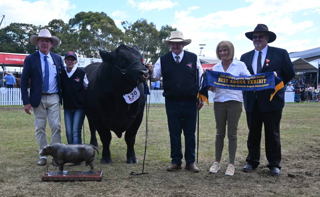 With best Angus exhibit Pine Creek Great Northern R061 are judge David Smith, Pine Creek Angus Stud's Sharon and Greg Fuller, Marian Smith and Angus NSW chairman Matthew Macri. Picture by Denis Howard 