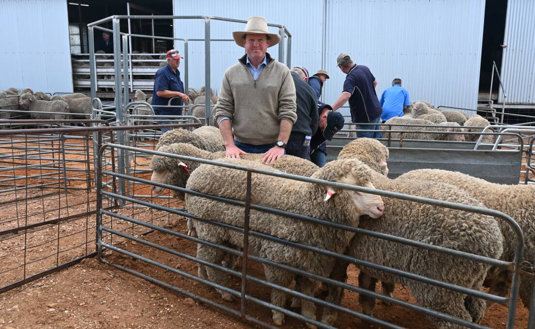 Boomey Park manager Angus Shannon purchased 25 rams at the Darriwell stud ram sale for Peter and Odette Morley. Picture by Denis Howard 